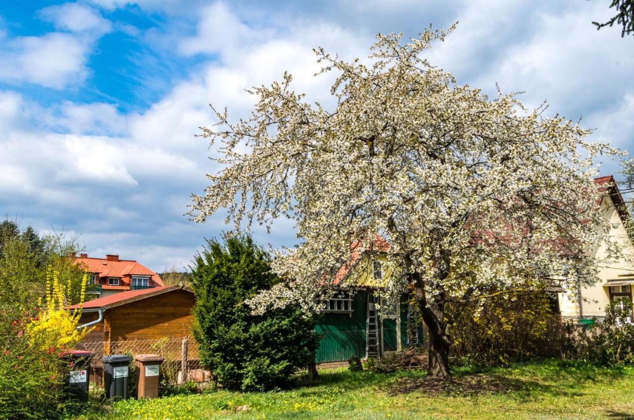 גארס אם קאמפ Gemuetliches, Heimeliges Ferienhaus מראה חיצוני תמונה